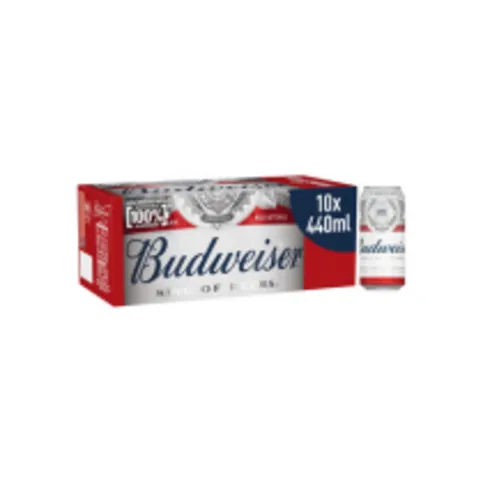 Budweiser 10 pack 