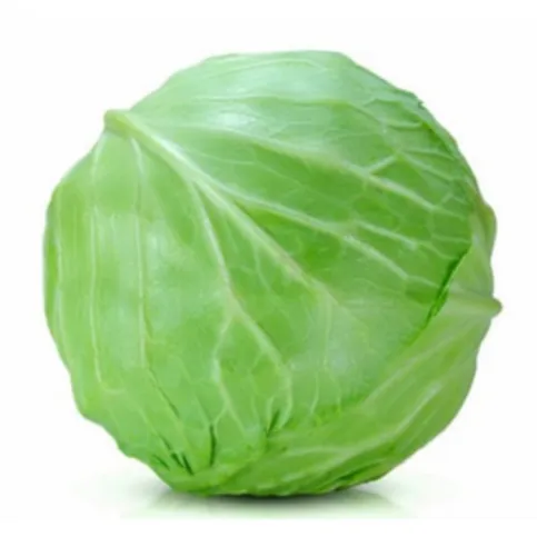 Cabbage
