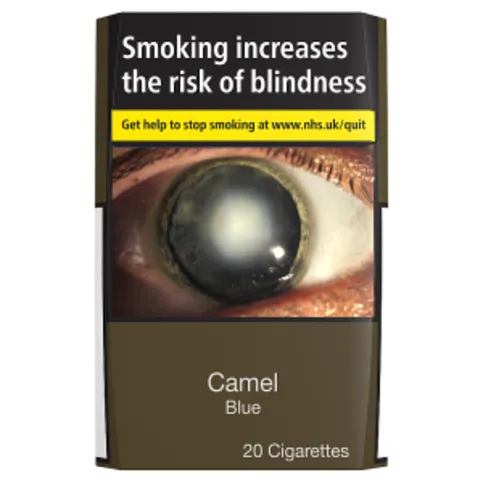 Camel Blue 20 Pack
