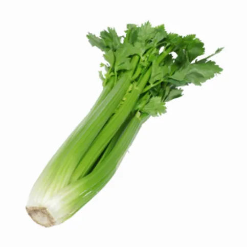 Celery