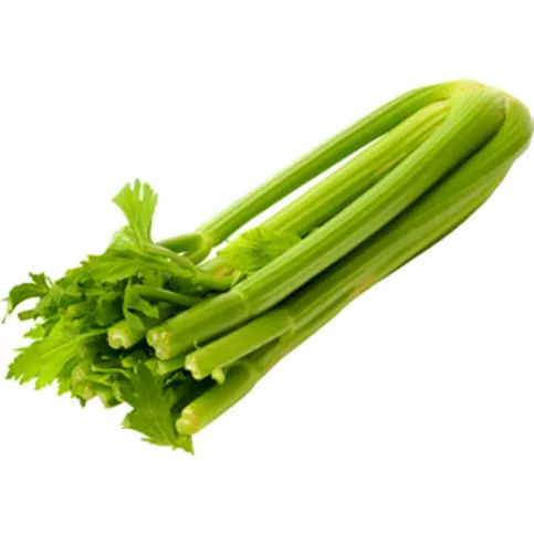 Celery