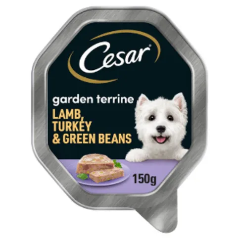 Cesar Garden Terrine Wet Dog Food with Juicy Lamb and Turkey and Green Beans in Loaf 150g