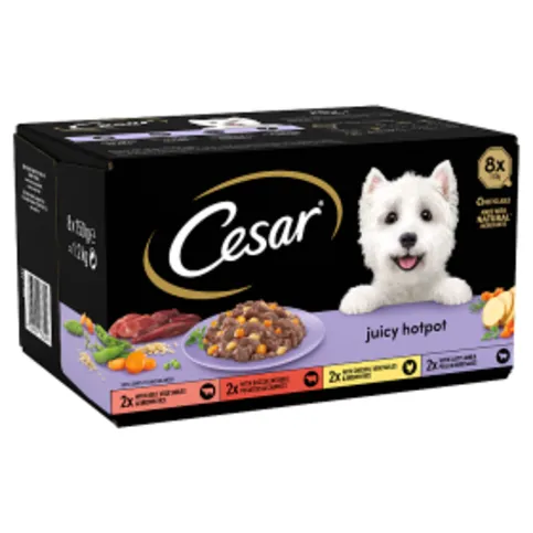 Cesar Juicy Hotpot Adult Wet Dog Food Trays Mixed in Gravy 8 x 150g