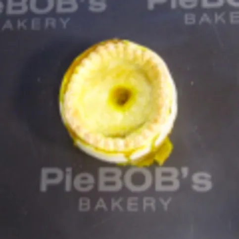 Chicken Curry Pie