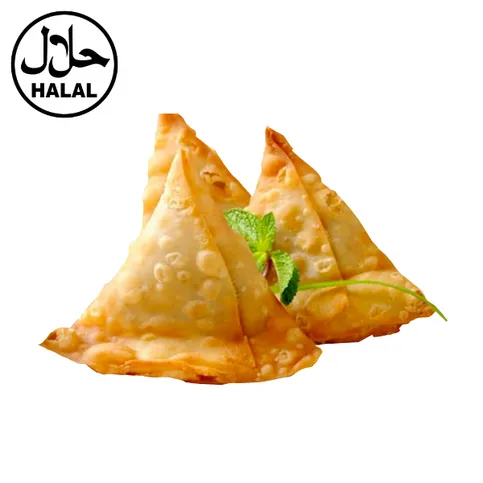 Chicken Samosa