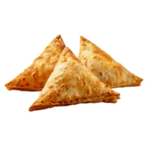 Chicken Tikka Samosa