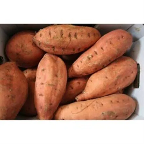 CHILLED: SPAR SWEET POTATO LARGE SINGLE