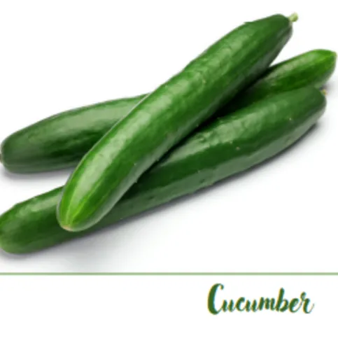 Cucumber