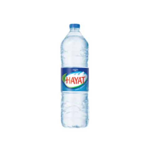 Danone Hayat 1L