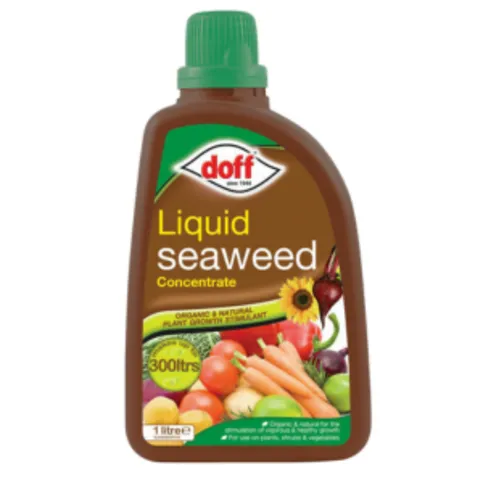 Doff Liquid SeaWeed Plant Food 1L