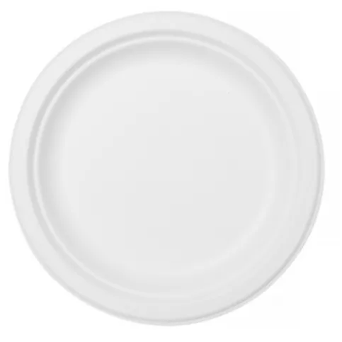 Duni Biodegradable Plates 10 Pack