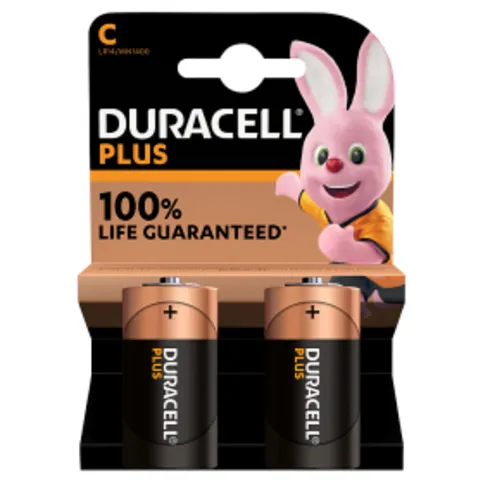 Duracell Plus 100 C 2 Pack