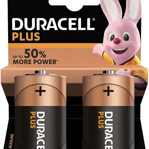 Duracell Plus 100 D 2 Pack