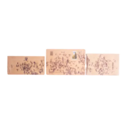 Envelopes Strong Brown