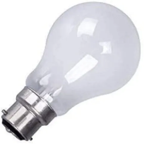 Everyday Led Daylight Bulb 40w