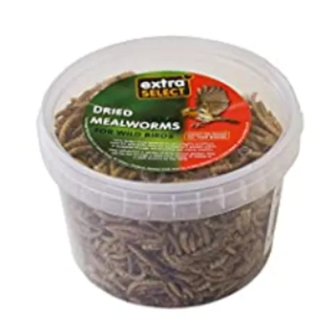 Extra Select Mealworms 500ml