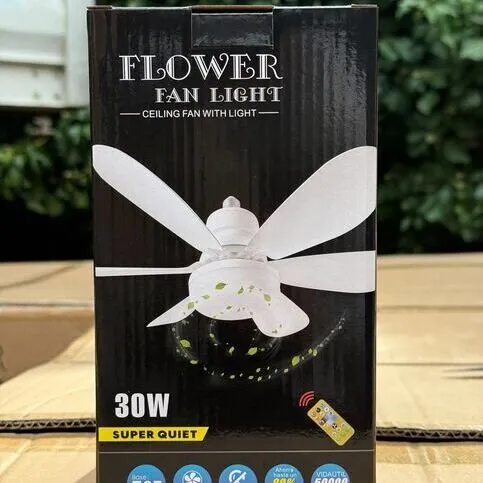Fan Light 
