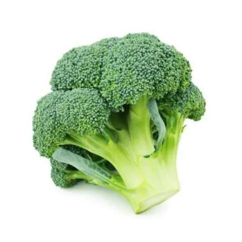 Fresh broccoli 
