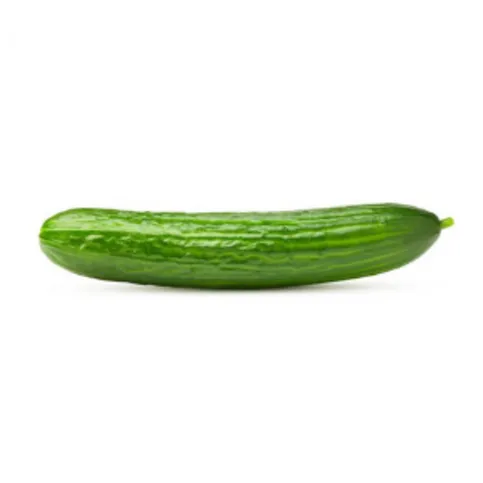 Fresh Cucumber