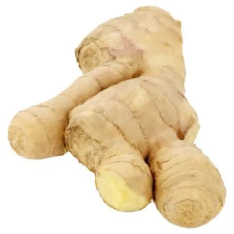 Fresh Root Ginger