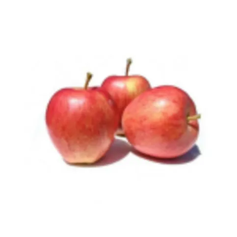 Gala Apple (Each)