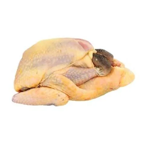 Guinea Fowl