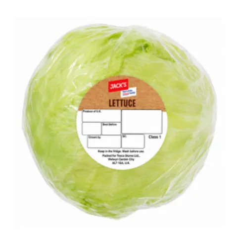 Jack's Iceberg Lettuce Single