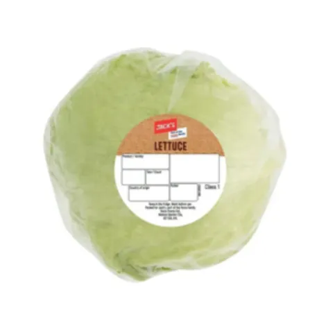 Jack's Lettuce