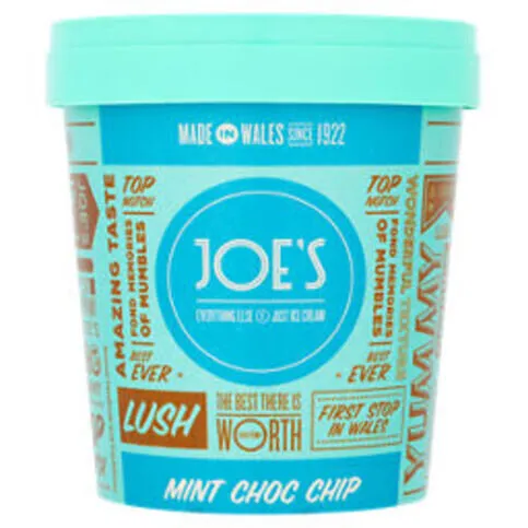 Joe's Ice Cream Mint Chocolate 500ml