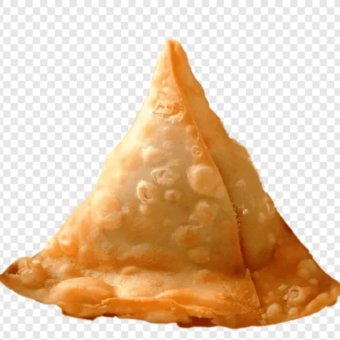 Jumbo Lamb Samosa