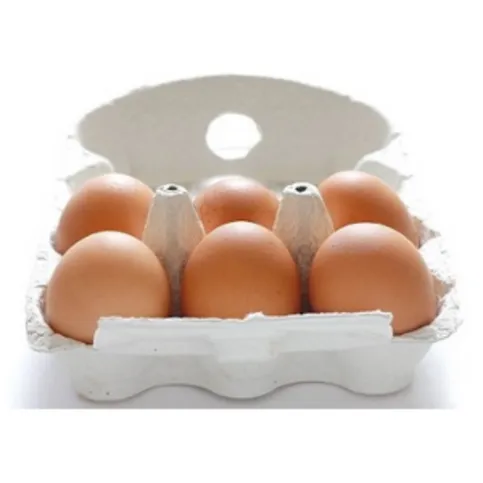 Large Eggs 6 Pack