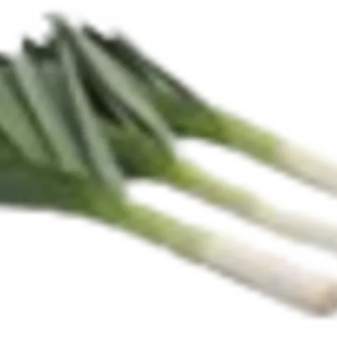 LEEKS UK
