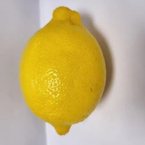 LEMON LOOSE SPAIN CLASS II