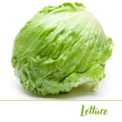 Lettuce