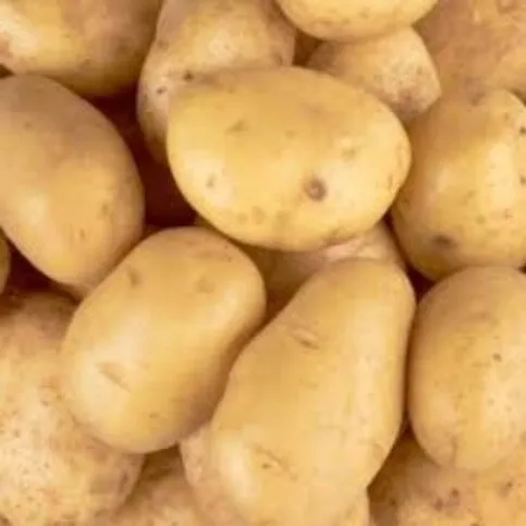 Loose Fluffy Baking Potatoes