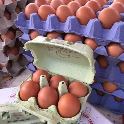Manor Farm Eggs - 6 pack