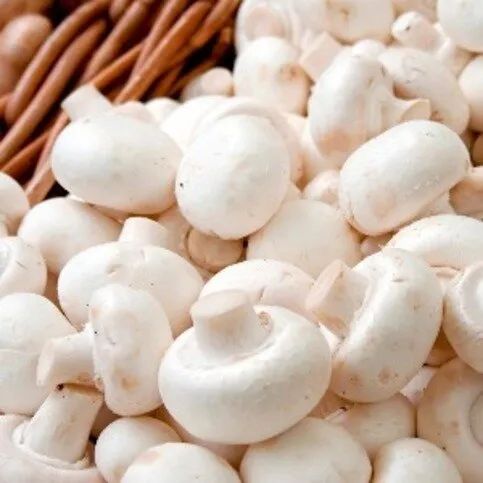 Mushrooms