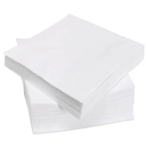 Napkins 100 Pack