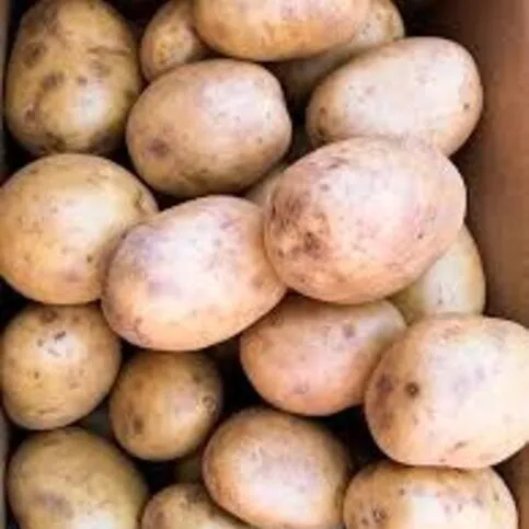 NEW! Baking Jacket Potatoes
