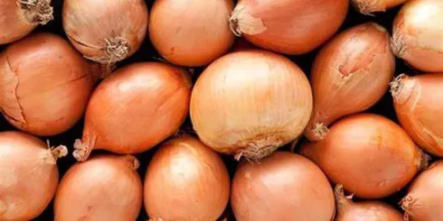 Onions