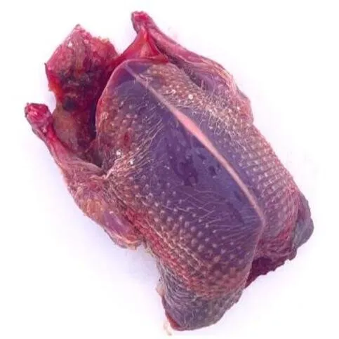 Partridge Whole