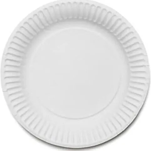 Party Paper Plates 12 Pack