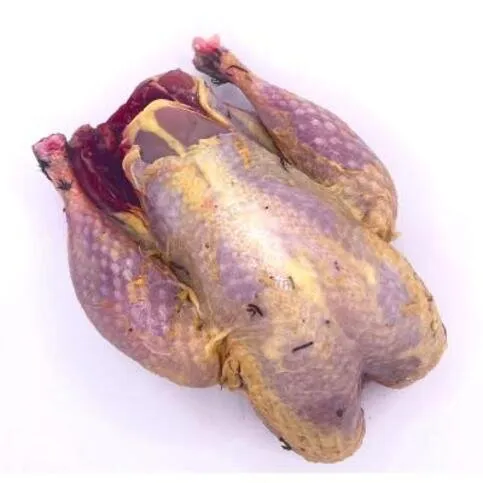 Pheasant
