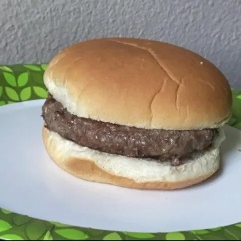 Plain Burger