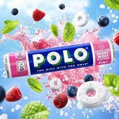 Polo sugar free berry tube 33.4g