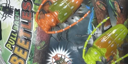 Pull back beetles