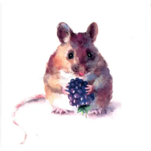 Birthday Card