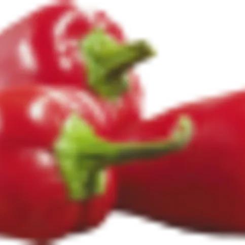 RED PEPPER 