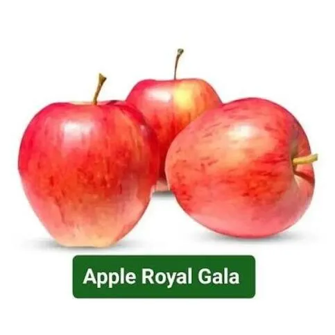 Royal gala apples 4pk