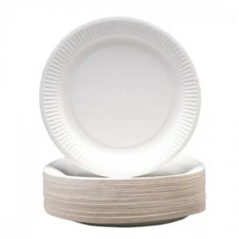 Paper Plates Disposable Plates 230mm 100 Pack